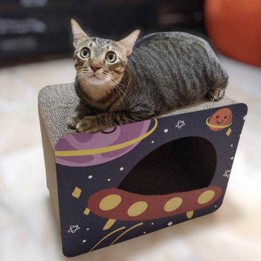 Space Box Cat Scratcher
