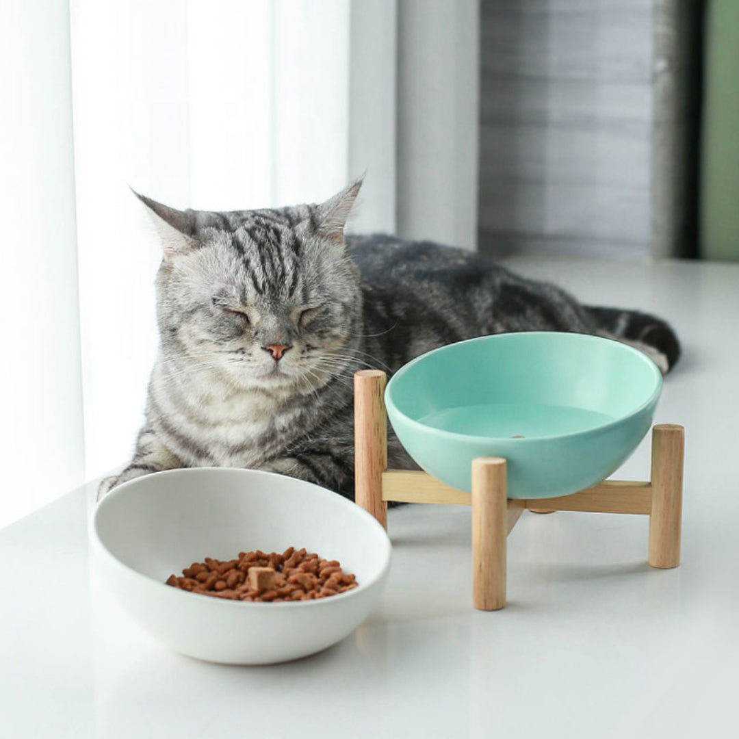 cat bowl with wooden stand | cat bowl stand | modern pet bowl stand 