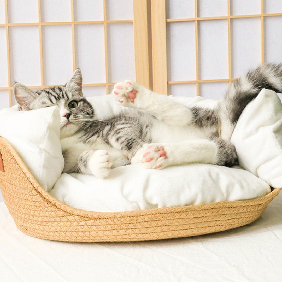Bobok, a cushioned pet bed