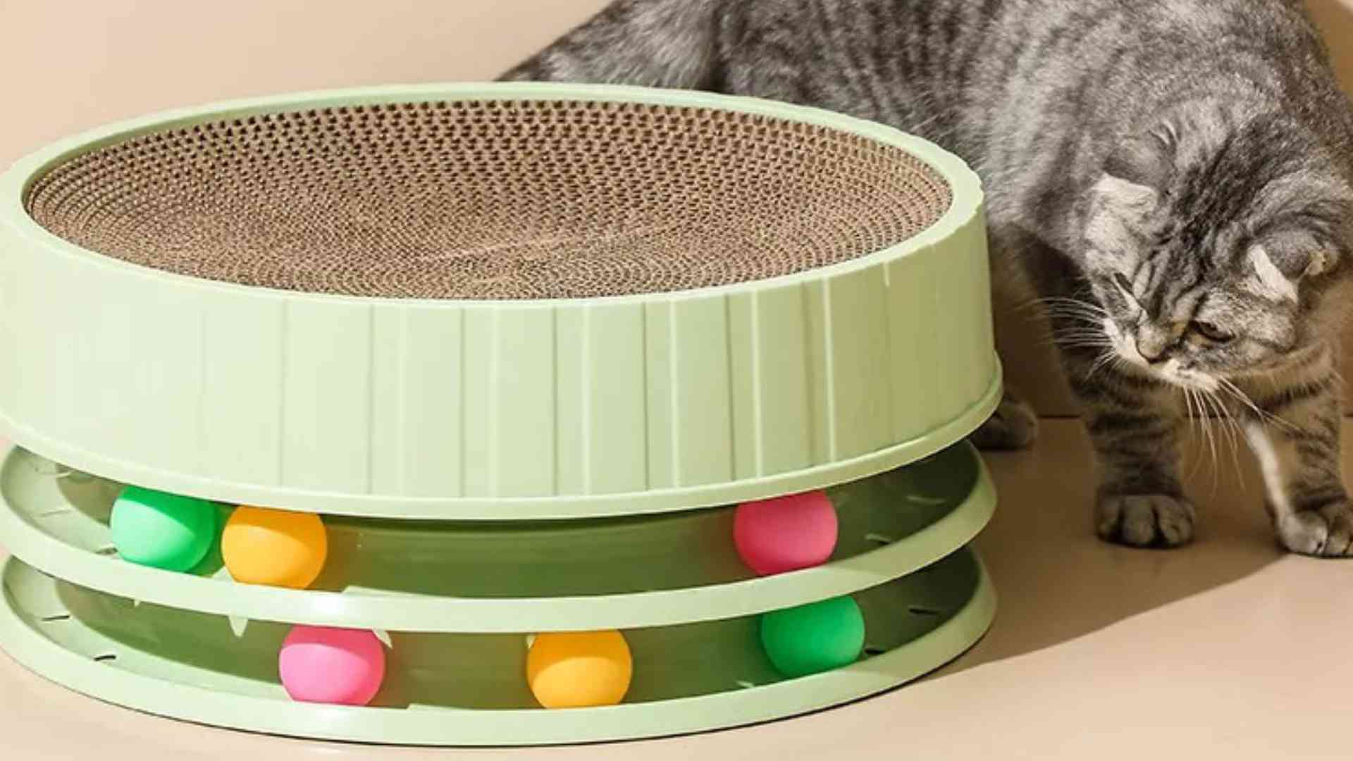 Buy cat products outlet online