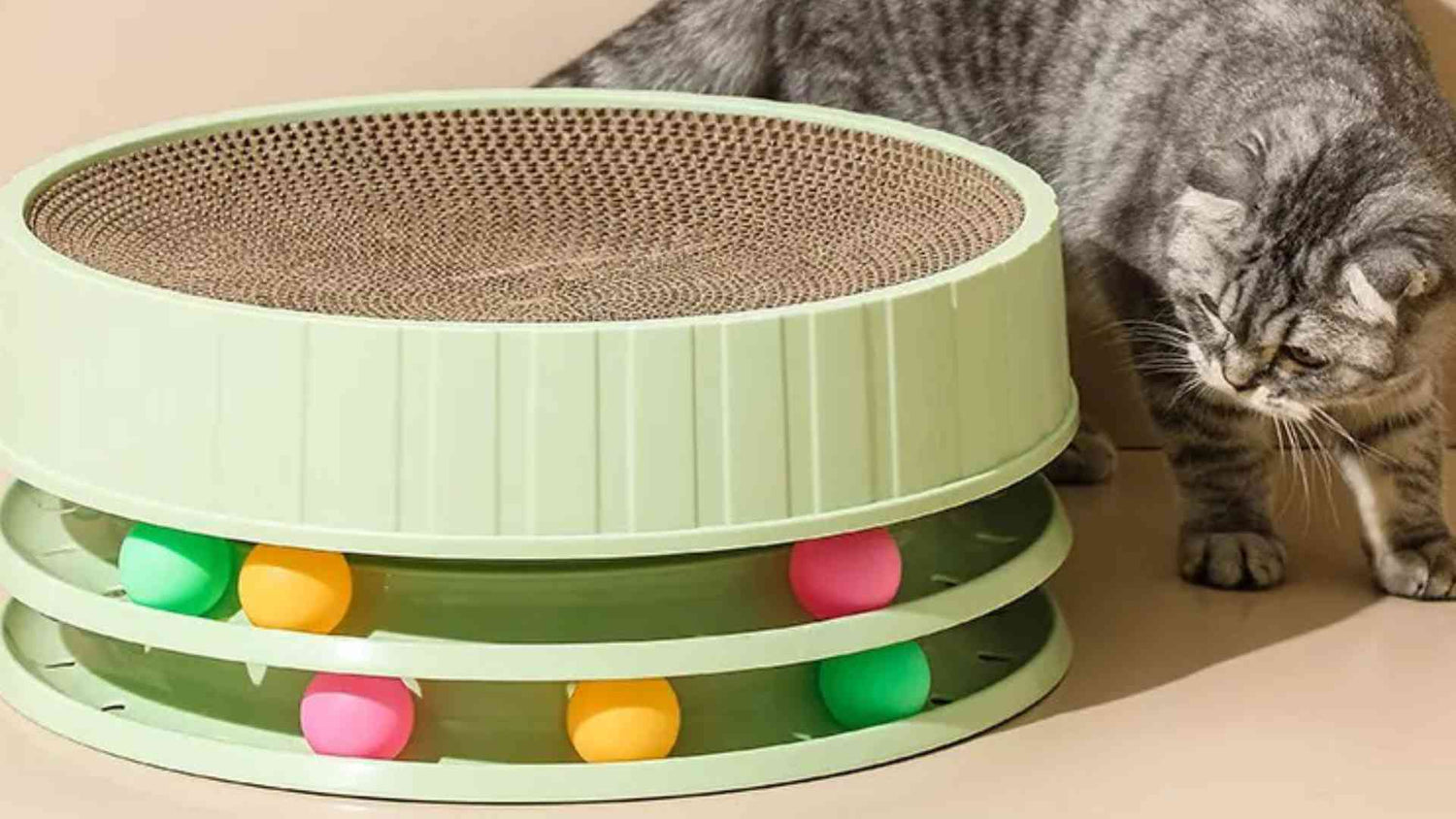 singapore online pet store, cat bowls singapore, cat shop singapore, round cat scratcher
