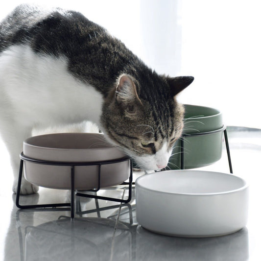 matte colours pet bowl stand | ceramic pet bowl with stand | best raised cat bowls