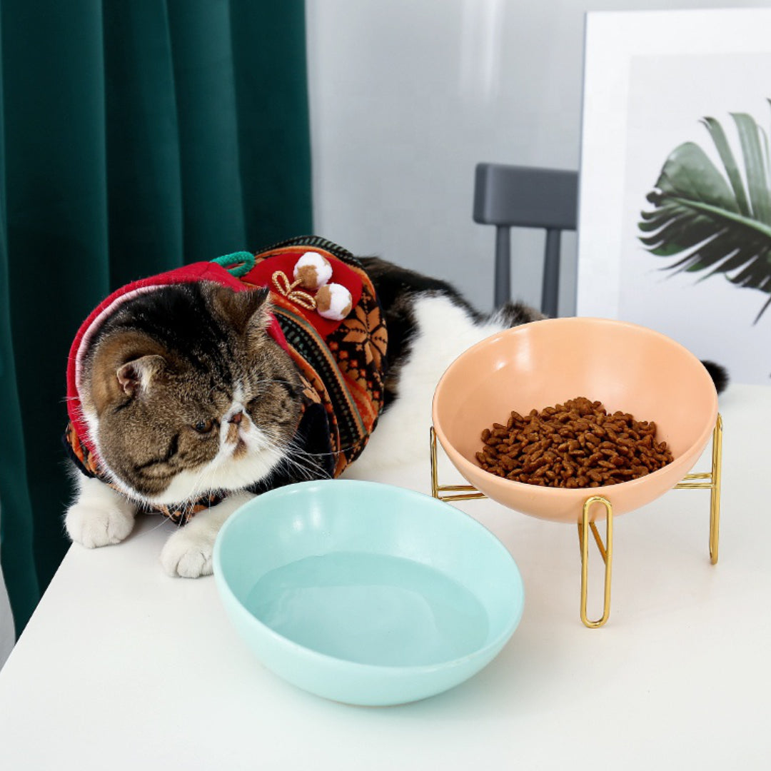 elevated tilted cat bowl | elevated cat bowls | tilted cat bowls