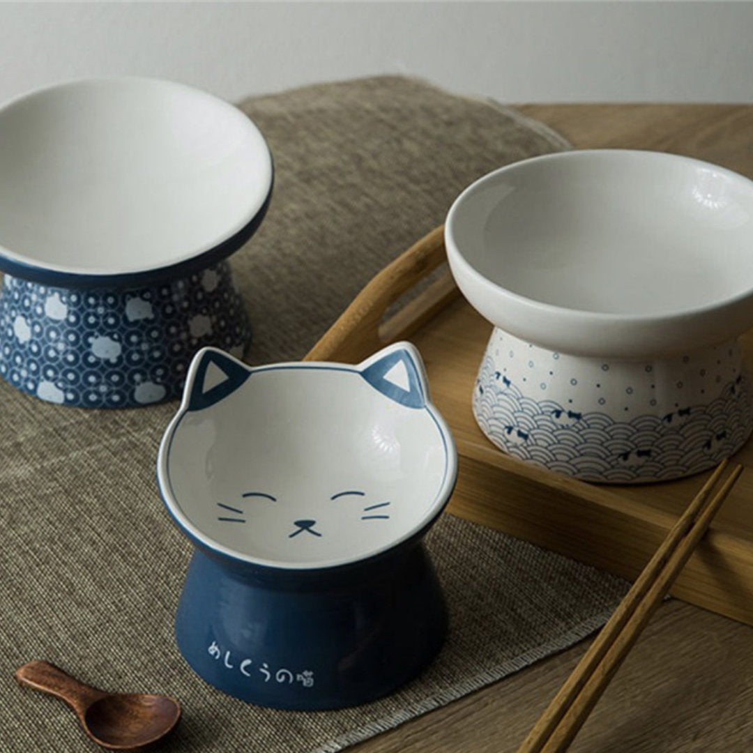 Diezi, a feeding bowl for cats