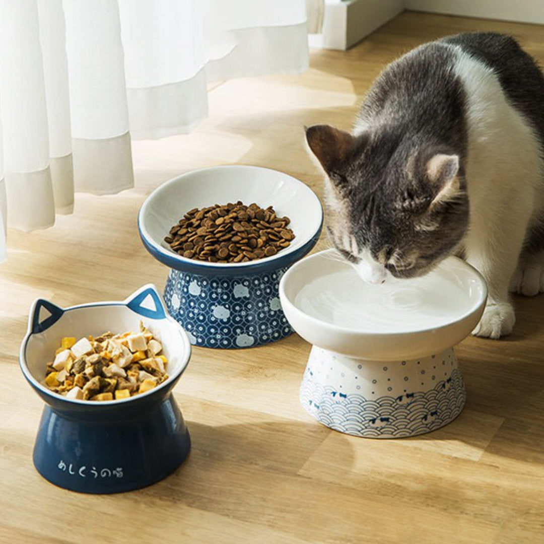 Elevated ceramic outlet cat bowls