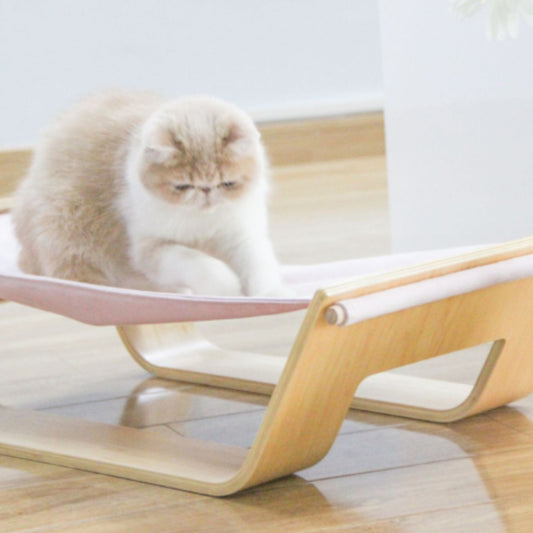comfy cat bed | cat elevated bed | modern cat furniture for large cats