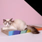 cardboard cat scratcher, cat scratcher, cardboard cat bed, cat on cat scratcher