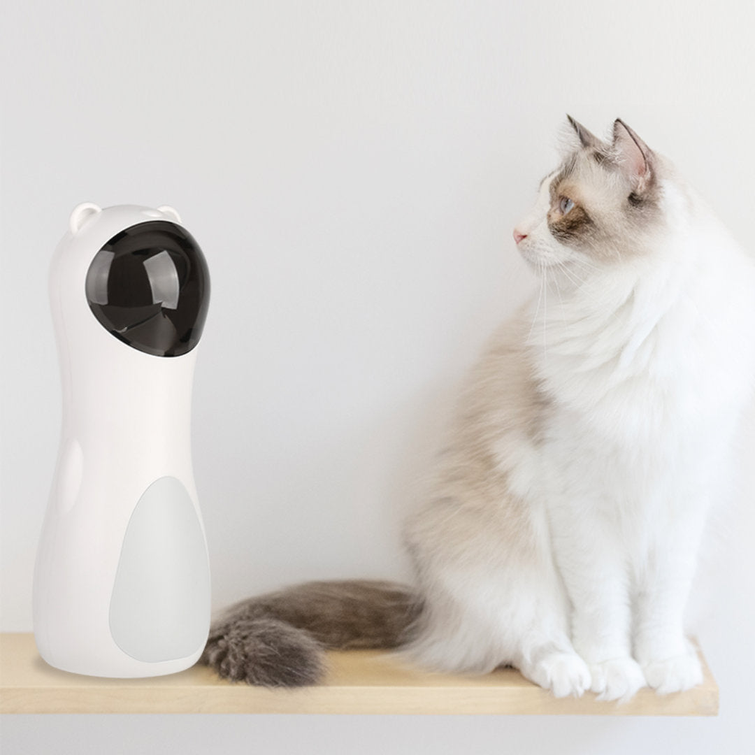 Interactive cat shop laser toy