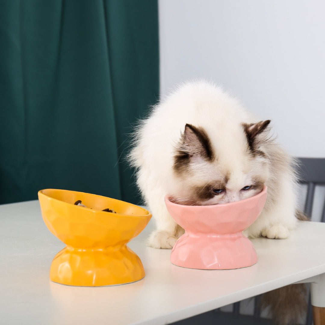 sturdy ceramic bowl for cats | best raised cat bowl | ceramic pet bowl 