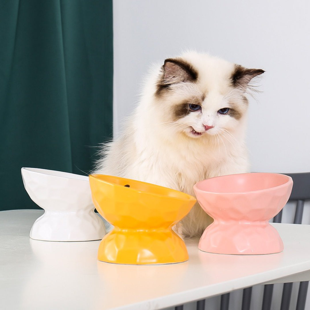ceramic bowl for cats | best raised cat bowl | ceramic pet bowl 