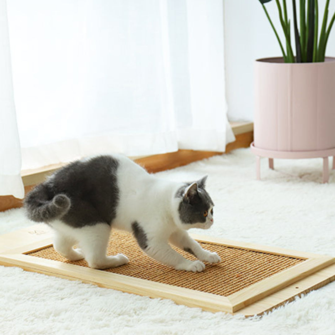 sisal cat scratching post | sisal post | minimalistic cat furniture