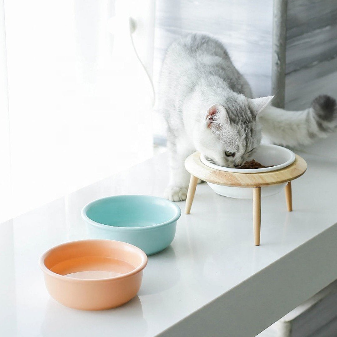 ceramic cat bowl, ceramic pet bowl, elevated pet bowl, pet bowl with stand, cat bowl, cat bowl with cat in picture