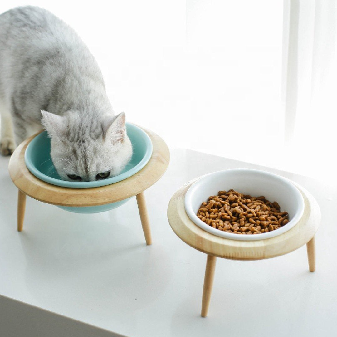 ceramic cat bowl, ceramic pet bowl, elevated pet bowl, pet bowl with stand, cat bowl, elevated and tilted cat bowl