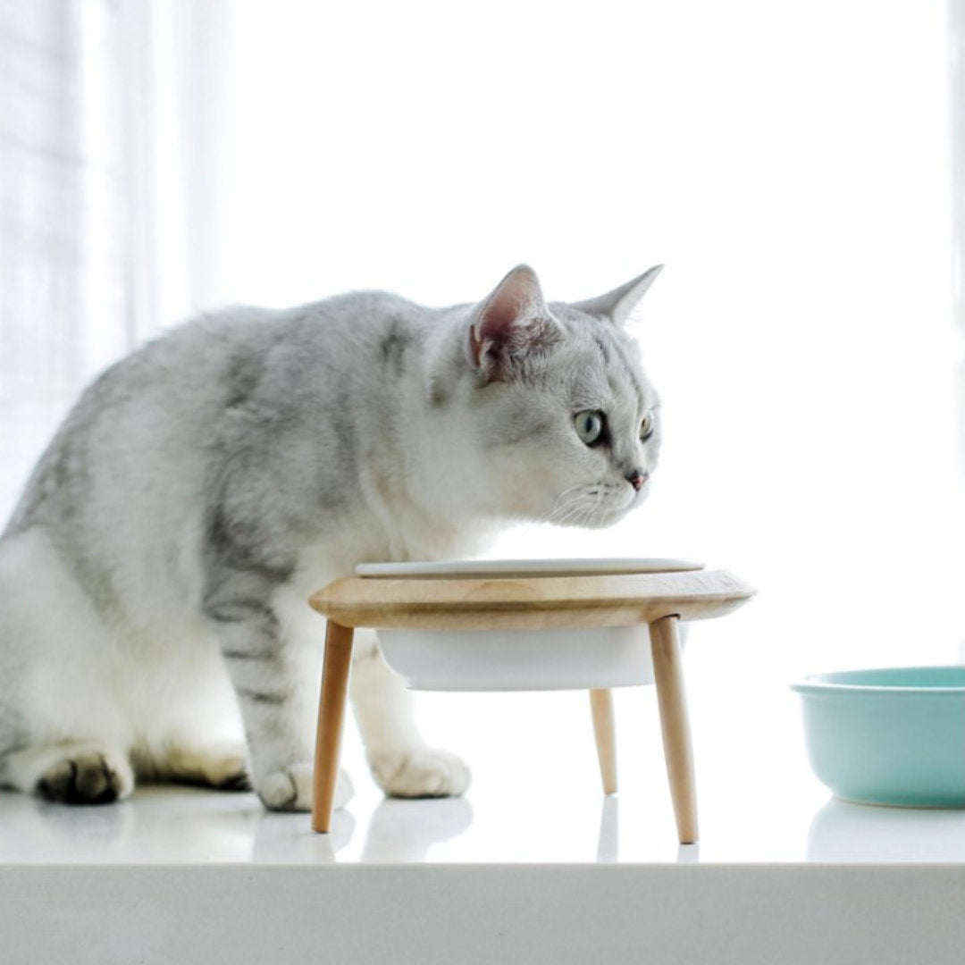 ceramic cat bowl, ceramic pet bowl, elevated pet bowl, pet bowl with stand, cat bowl, elevated cat bowl
