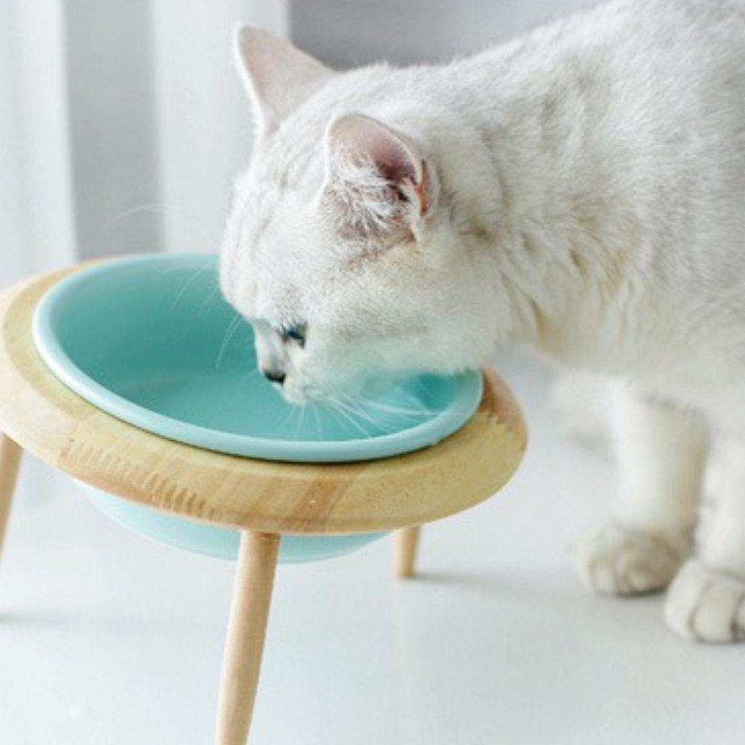 ceramic cat bowl, ceramic pet bowl, elevated pet bowl, pet bowl with stand, cat bowl, tilted and elevated cat bowl